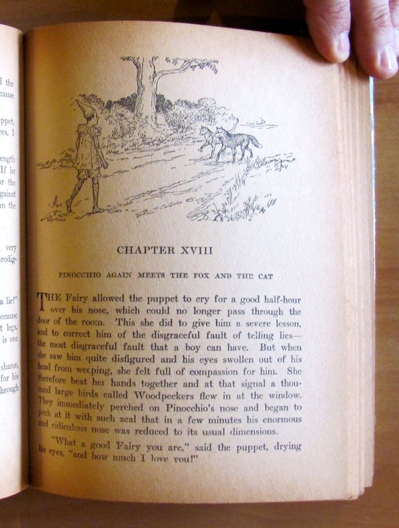 PINOCCHIO - The tale of a Puppet, I ed. 1916 … | Immagine Gallery 10