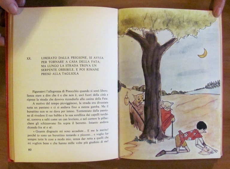 PINOCCHIO, I ed. 1982 - ill. BRAJONE | Immagine Gallery 7