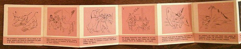 PINOCCHIO NEL PAESE DEI BALOCCHI, anni '50 - A Fisarmonica