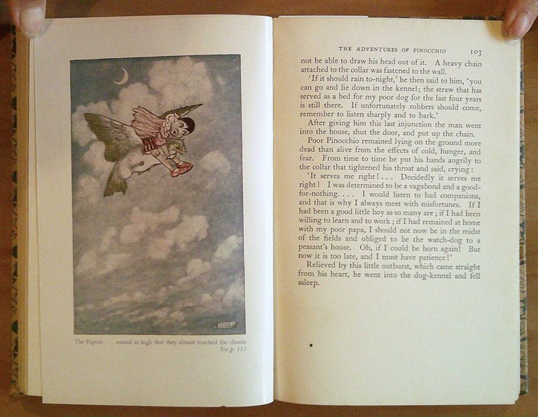 PINOCCHIO The Tale of a Puppet - Collana Chilren's Illustrated …