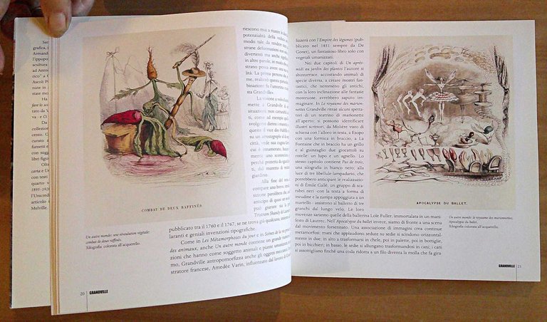PITTORI DI CARTA Libri Illustrati tra Otto e Novecento - …