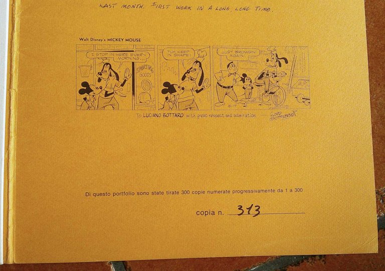 PORTFOLIO PINOCCHIO di BOTTARO con 4 Tavole - TIRATURA LIMITATA