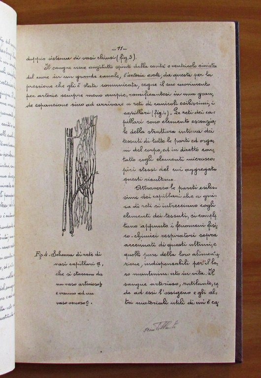 Riassunto delle Lezioni del Prof. Luigi Pagliani. Principi d'Igiene applicati …