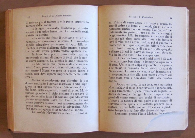 RICORDI DI UN PICCOLO PELLIROSSE - Collana I Libri d'Acciaio …