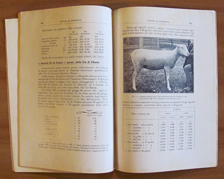 RIVISTA DI ZOOTECNICA - Annata Completa 1932