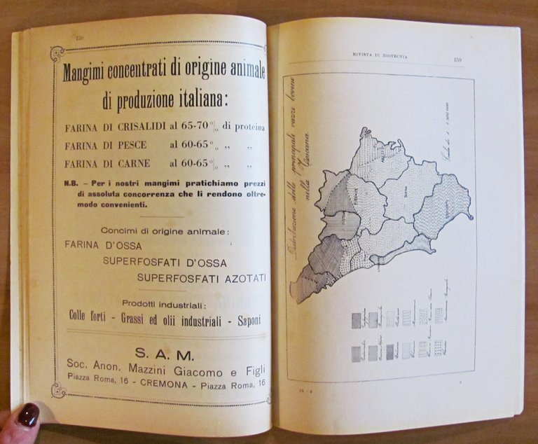 RIVISTA DI ZOOTECNICA - Annata Completa 1932