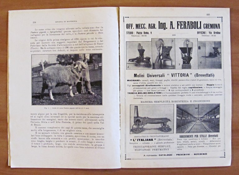 RIVISTA DI ZOOTECNICA - Annata Completa 1933 (1/12 meno N.2 …