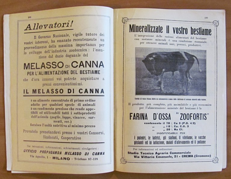 RIVISTA DI ZOOTECNICA - Annata Completa 1933 (1/12 meno N.2 …