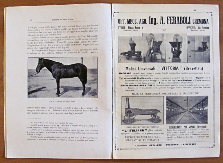 RIVISTA DI ZOOTECNICA - Annata Completa 1933 (1/12 meno N.2 …