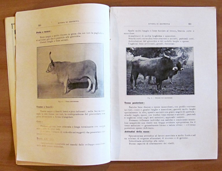 RIVISTA DI ZOOTECNICA - Annata Completa 1933 (1/12 meno N.2 …