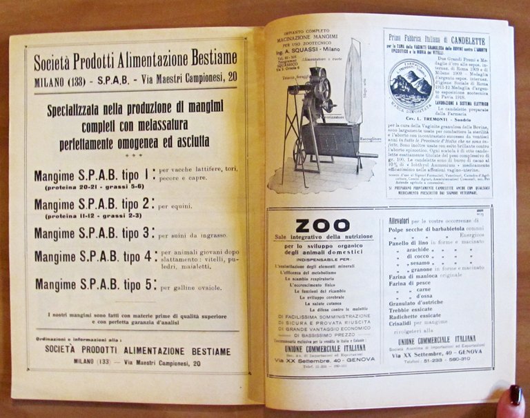 RIVISTA DI ZOOTECNICA - Annata Completa 1933 (1/12 meno N.2 …