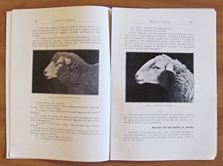 RIVISTA DI ZOOTECNICA - Annata Completa 1933 (1/12 meno N.2 …