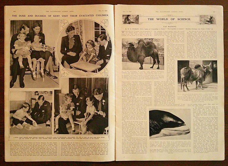 Rivista THE ILLUSTRATED LONDON NEWS Dec 9, 1939 - No.5251 …