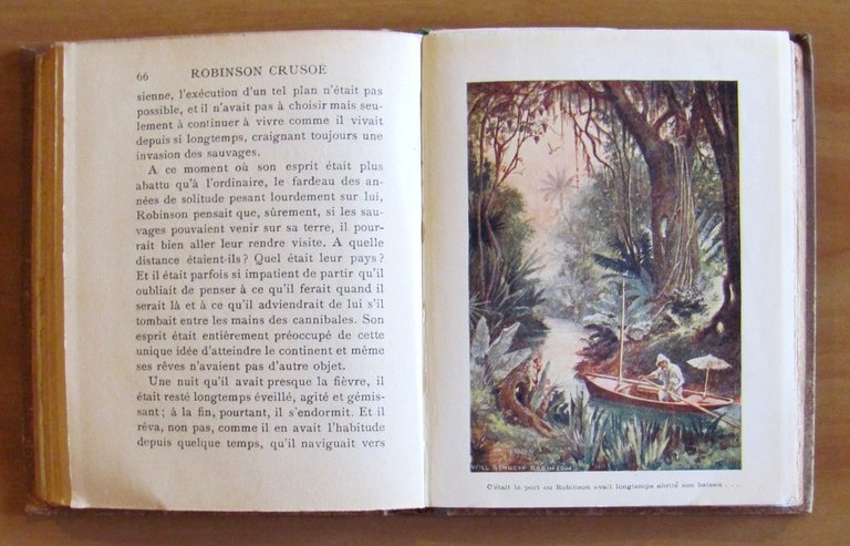 ROBINSON CROSOE - Collection Enfantine en Couleurs - ill. W. …