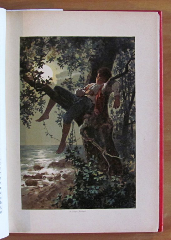 ROBINSON KRUSOE, fine '800 - ill. HOFFMANN
