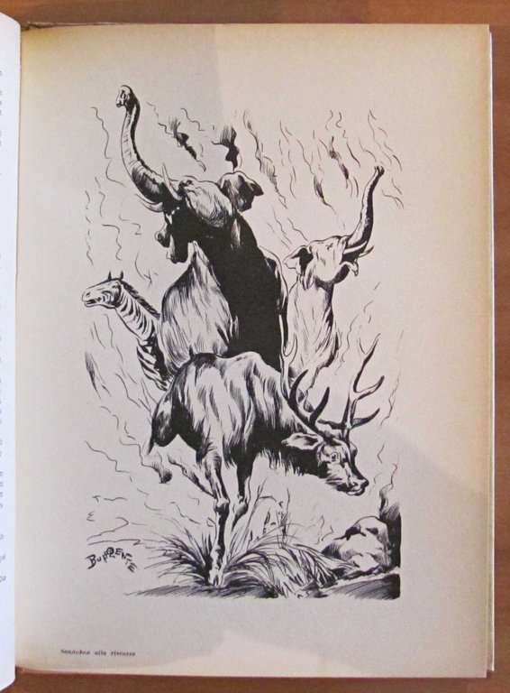 SANDOKAN ALLA RISCOSSA, anni '60 - ill. TRINCIA