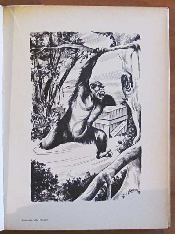 SANDOKAN ALLA RISCOSSA, anni '60 - ill. TRINCIA