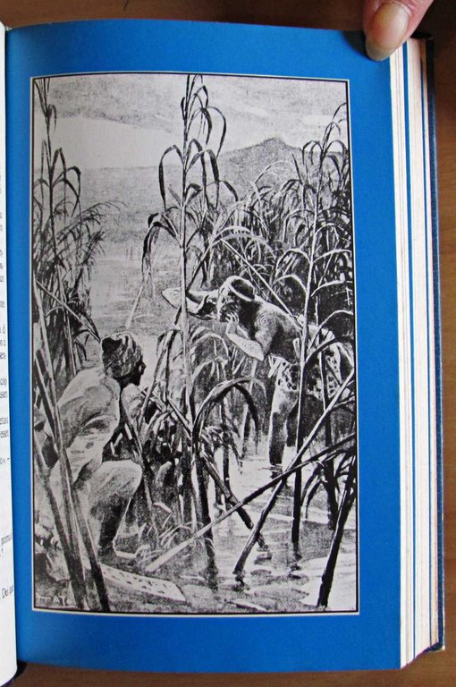 SANDOKAN ALLA RISCOSSA + LA RICONQUISTA DI MOMPRACEM + IL … | Immagine Gallery 8