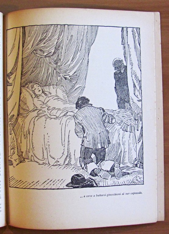 SANTA CECILIA e UNA NOTTE BIZZARRA - Coll. I Romanzi …