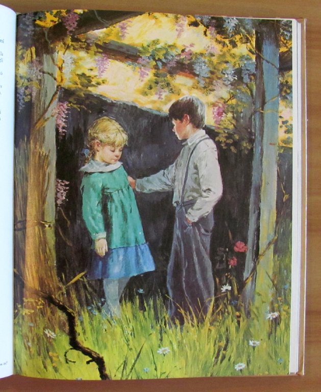 SENZA FAMIGLIA - Collana Classici per Ragazzi