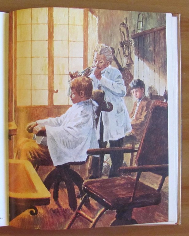 SENZA FAMIGLIA - Collana Classici per Ragazzi