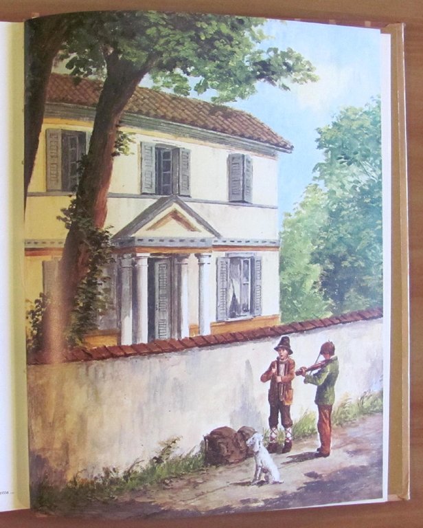 SENZA FAMIGLIA - Collana Classici per Ragazzi
