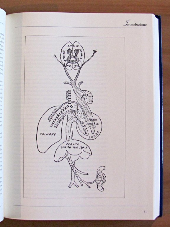 STORIA DELLE DISCIPLINE MEDICHE