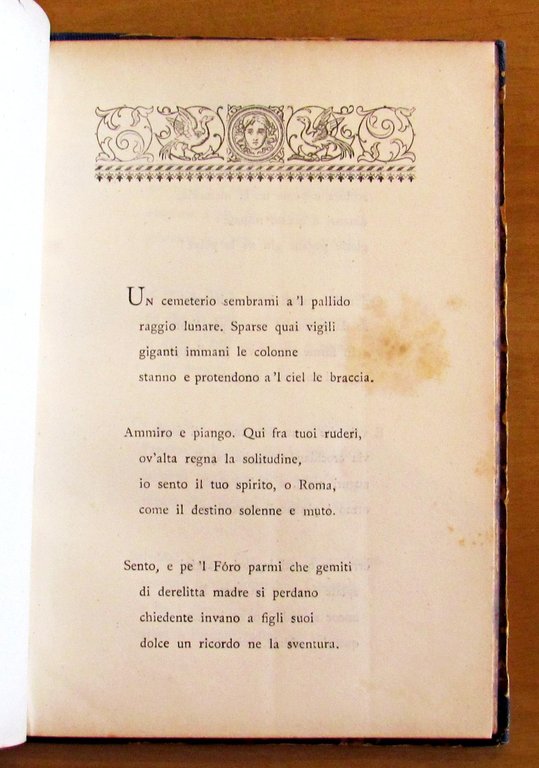 STROFE LIRICHE