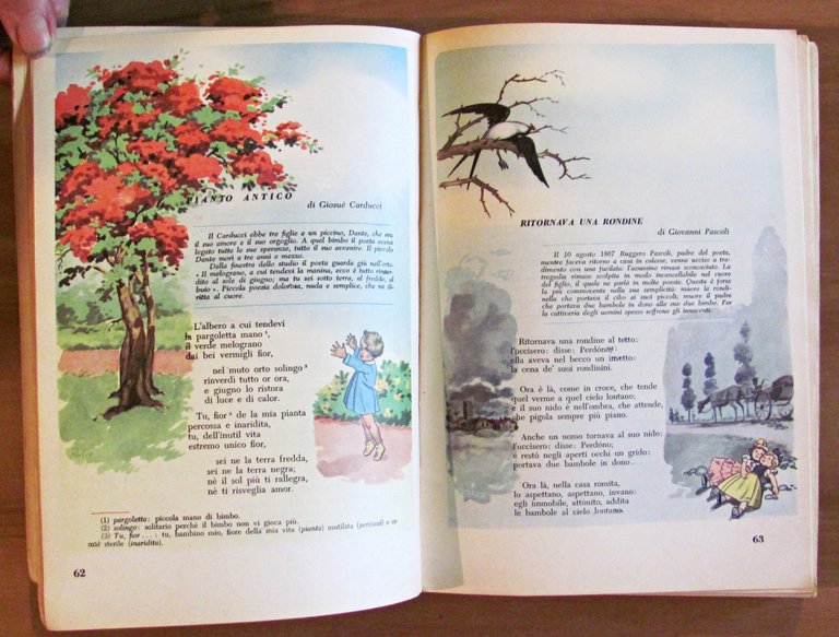 Sussidiario - CERVINO - Guida alla Scuola Media, 1968