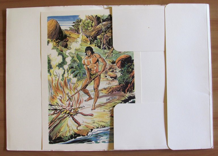 TARZAN DELLE SCIMMIE 1912-1992 - Portfolio con 41 tavole sciolte …