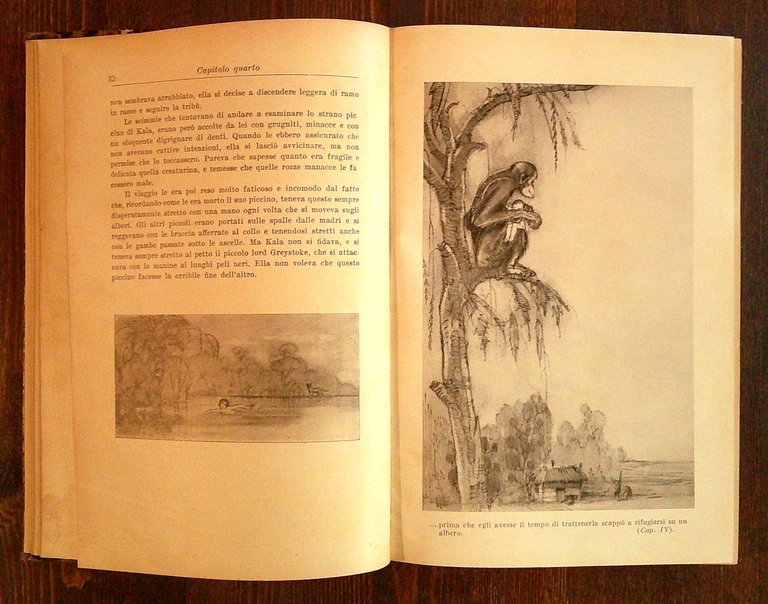 TARZAN DELLE SCIMMIE, 1935 - ill. CITO FILOMARINO