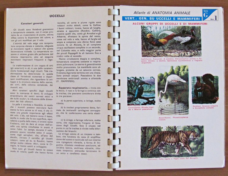 TAVOLE DI ANATOMIA ANIMALE - Coll. Atlanti Scientifici, I ed. …