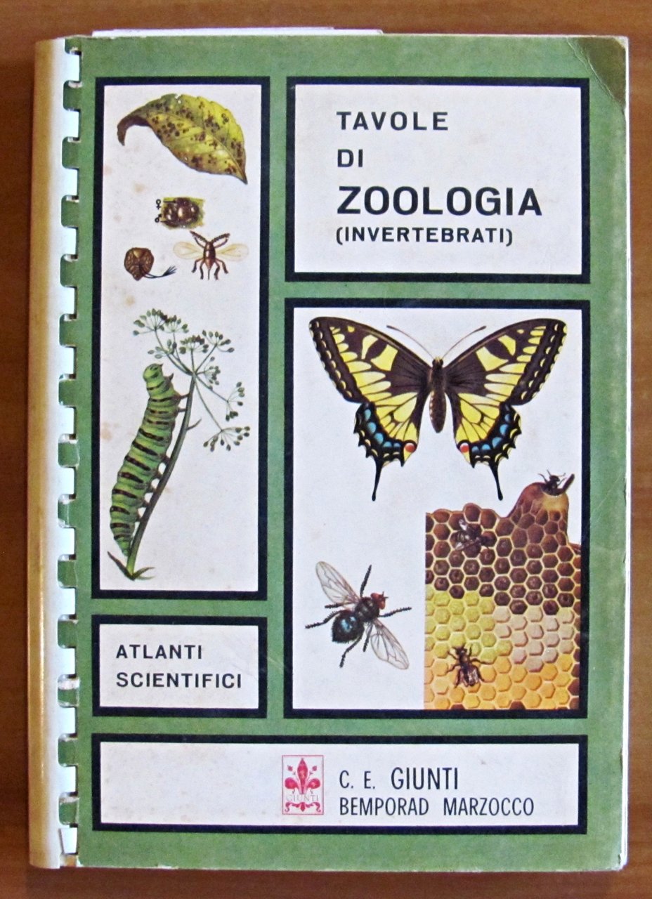 TAVOLE DI ZOOLOGIA - Invertebrati, I ed. 1969