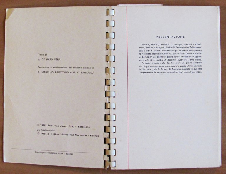 TAVOLE DI ZOOLOGIA - Invertebrati, I ed. 1969