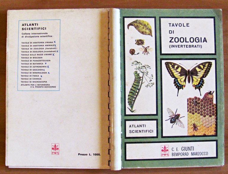 TAVOLE DI ZOOLOGIA - Invertebrati, I ed. 1969