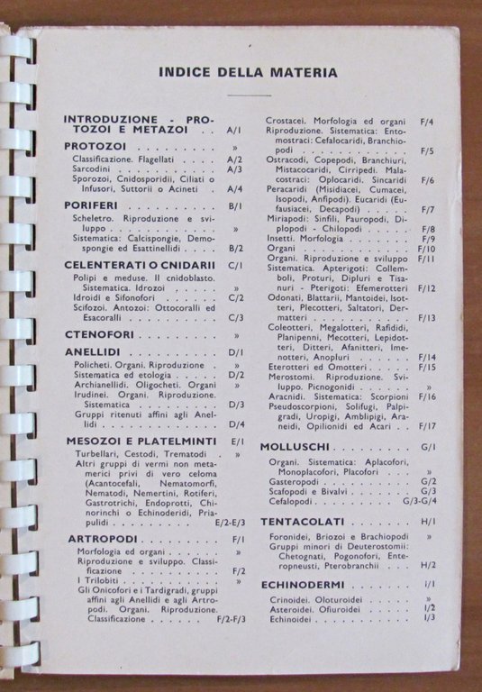 TAVOLE DI ZOOLOGIA - Invertebrati, I ed. 1969
