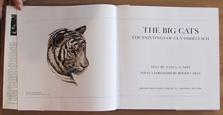 THE BIG CATS - The Paintings of Guy Coheleach, 1982