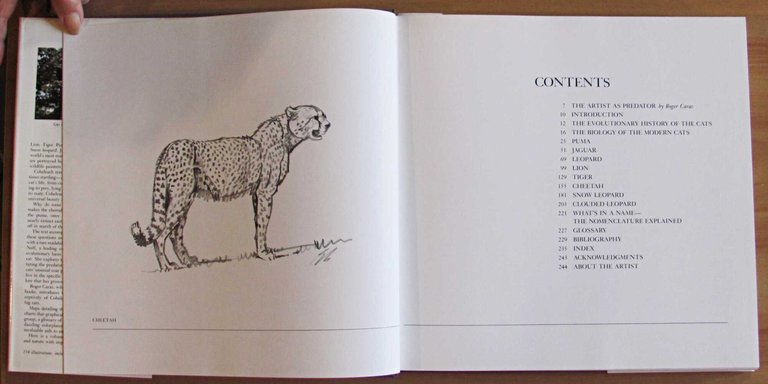 THE BIG CATS - The Paintings of Guy Coheleach, 1982