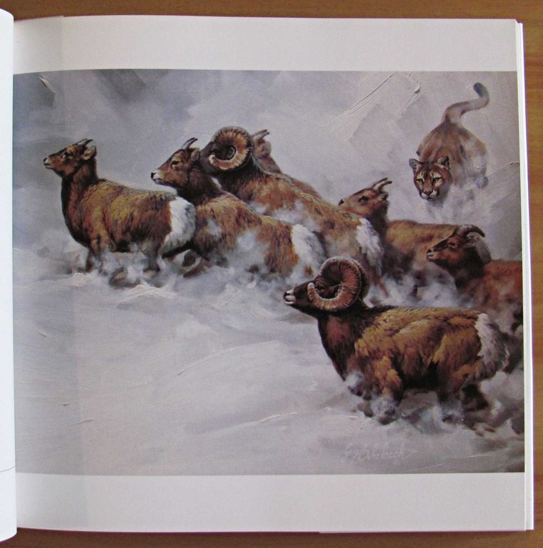 THE BIG CATS - The Paintings of Guy Coheleach, 1982