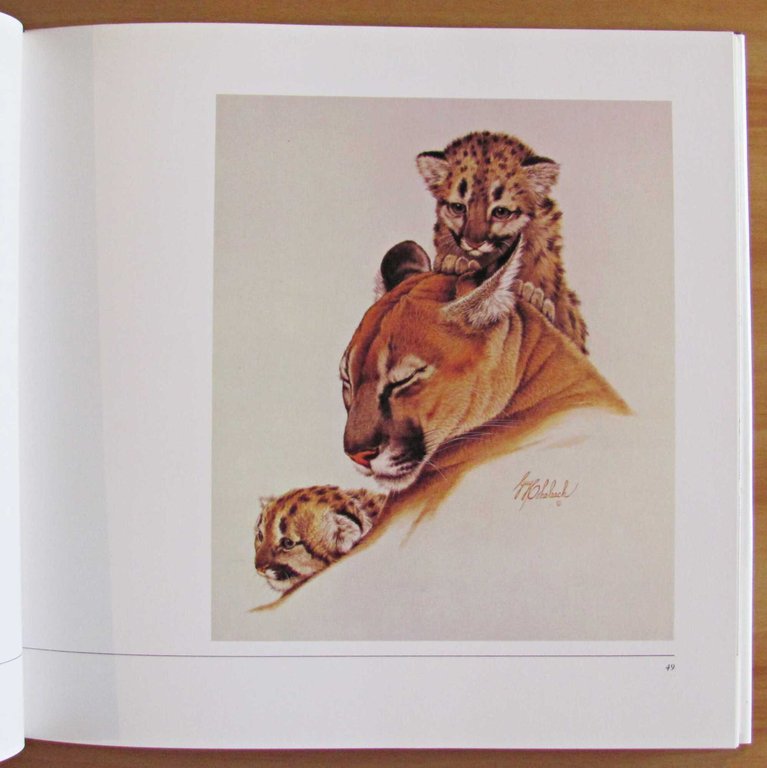 THE BIG CATS - The Paintings of Guy Coheleach, 1982