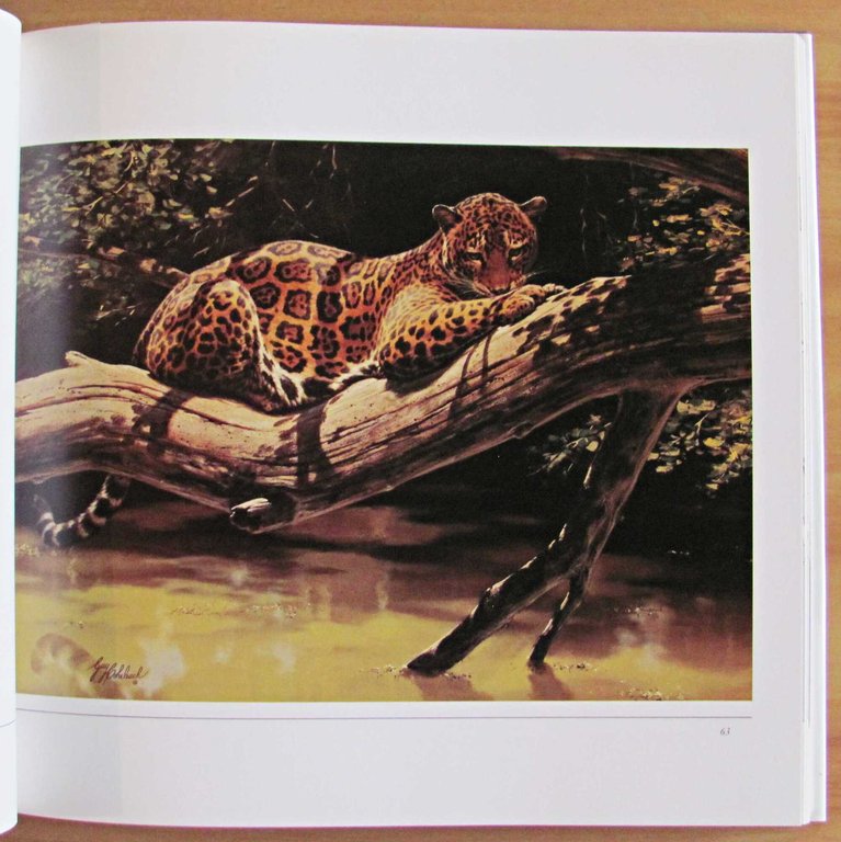 THE BIG CATS - The Paintings of Guy Coheleach, 1982