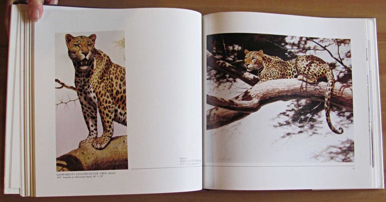 THE BIG CATS - The Paintings of Guy Coheleach, 1982