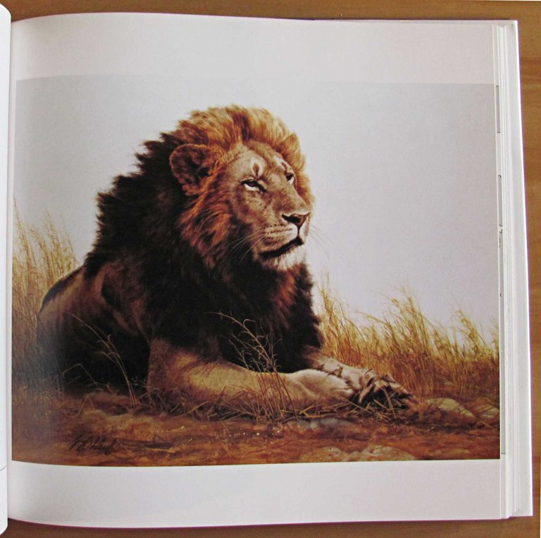 THE BIG CATS - The Paintings of Guy Coheleach, 1982