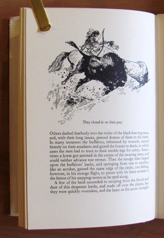 THE DOG CRUSOE, 1966 ill. AMBRUS