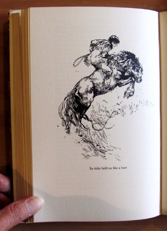 THE DOG CRUSOE, 1966 ill. AMBRUS