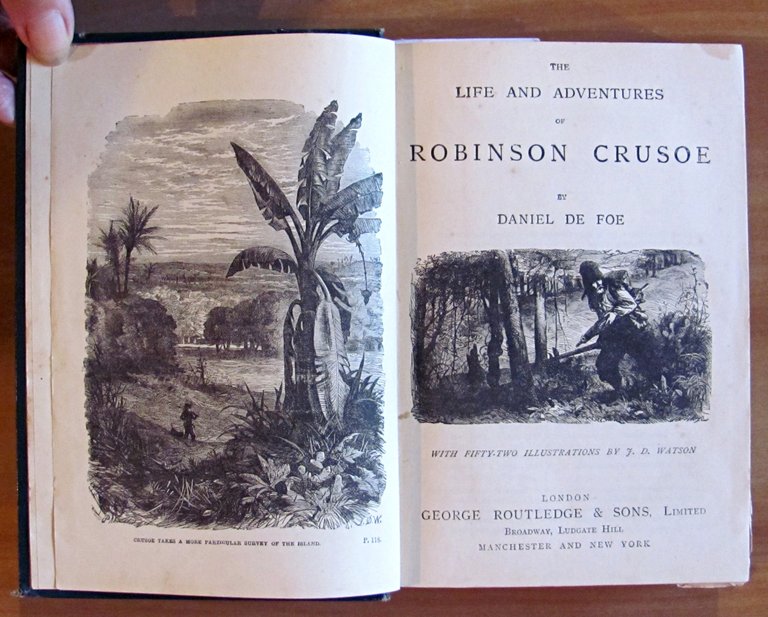 THE LIFE AND ADVENTURES OF ROBINSON CRUSOE, fine '800 - …