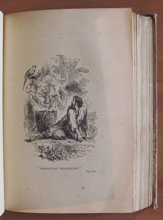 THE LIFE AND STRANGE SURPRIZING ADVENTURES OF ROBINSON CRUSOE, 1886