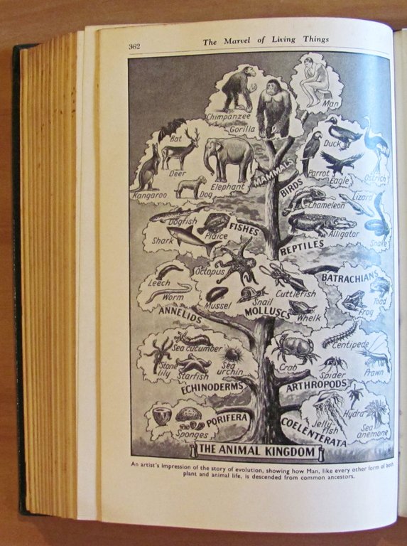 THE MARVELS AND MYSTERIES OF SCIENCE, 1940 illustratissimo