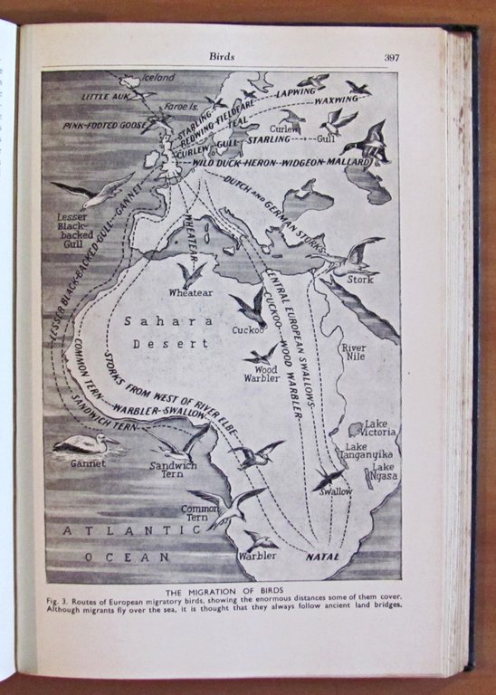 THE MARVELS AND MYSTERIES OF SCIENCE, 1940 illustratissimo