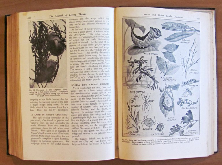 THE MARVELS AND MYSTERIES OF SCIENCE, 1940 illustratissimo